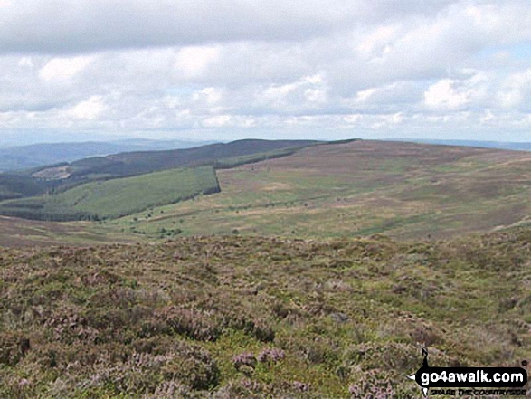 Walk Cerrig Coediog walking UK Mountains in The Berwyns Snowdonia National Park*<br> Denbighshire, Wales