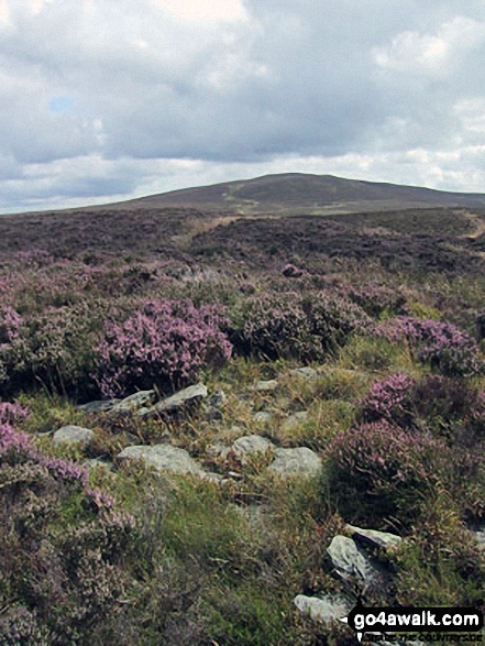 Moel Ferna from the summit of Pen Creigiau'r