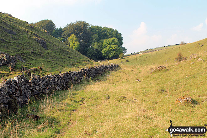 Walk d146 The High Peak Trail and Kenslow Knoll from Middleton-by-Youlgreave - Approaching Bolderstone Plantation from Long Dale