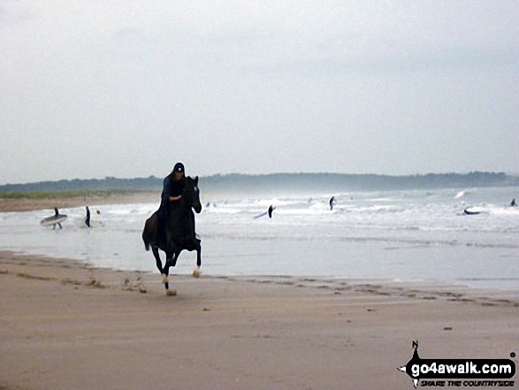 Surf riders; looking towards Tyninghame from near Dunbar