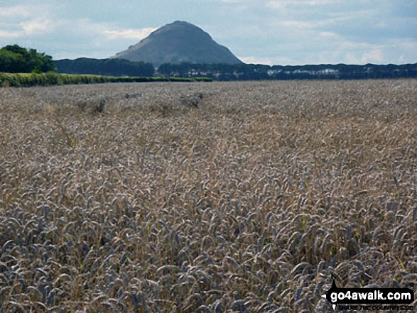 North Berwick Law