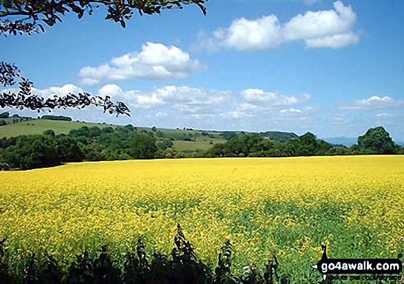 Farmcote from Campden Lane (Track)