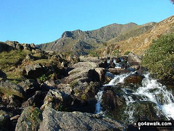 Y Garn (Glyderau) from near Llyn Idwal