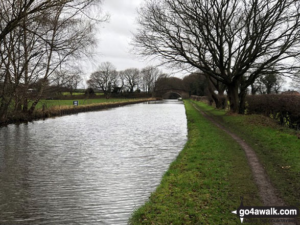 Walk ch193 The Bridgewater Canal and Hatton from Higher Walton - The Bridgewater Canal near Moore