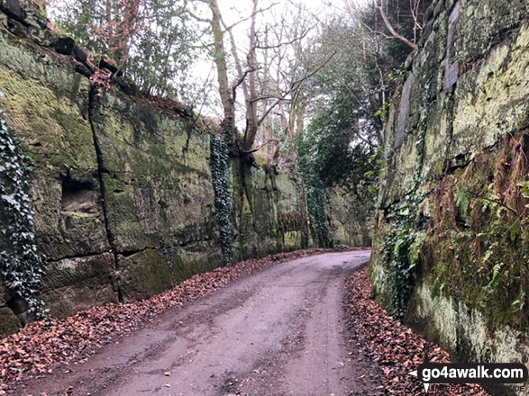 Walking through 'The Trough' between Fox Covert Cemetery and Bellfield Farm