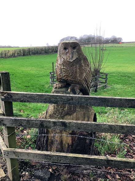 Fine sculptured Owl 250m NW of Blue Coat Farm, Hatton