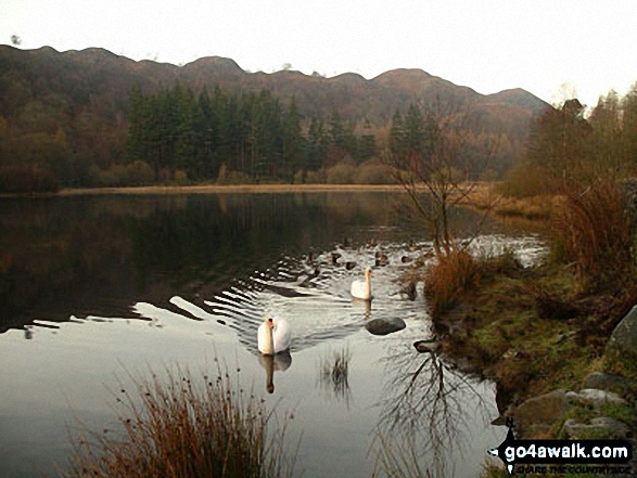 Walk c149 The Yewdale Fells from Coniston - Yew Dale Tarn nr Coniston