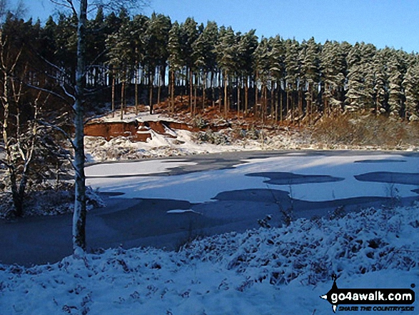 Fairoak Pool in winter, Cannock Chase