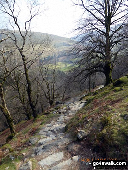 More steps on the Minffordd Path