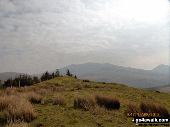 Approaching Beddgelert Forest from below Foel Rudd (Mynydd Mawr)