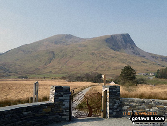 Mynydd Drws-y-coed (left) and Y Garn (Moel Hebog) from Rhyd Ddu