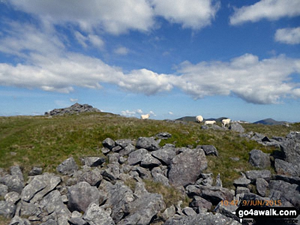 Moel Yr Ogof summit cairn and plateau