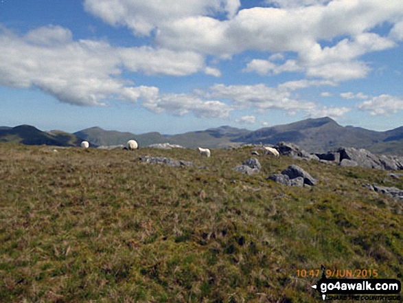 Moel Eilio (left), Foel Gron, Moel Cynghorion and Snowdon (Yr Wyddfa) from Moel Yr Ogof