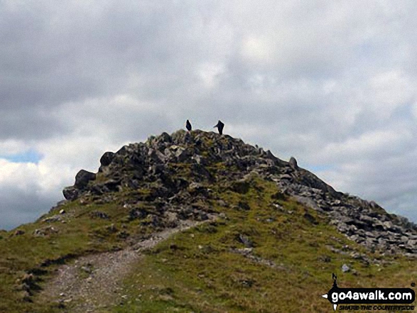 Walk gw131 Cnicht from Croesor - Cnicht Summit