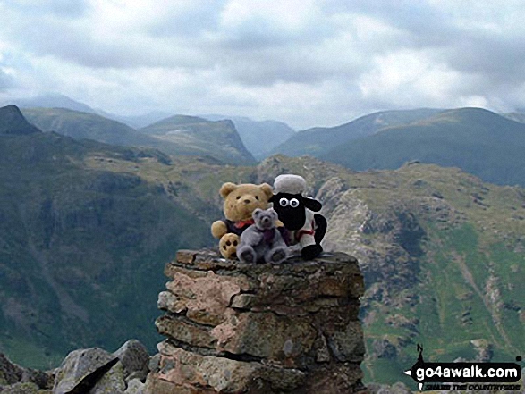 Walk c369 High Raise, Ullscarf and Grange Fell from Rosthwaite - Shaun, Tetley & Grizzly on High Raise (Langdale)