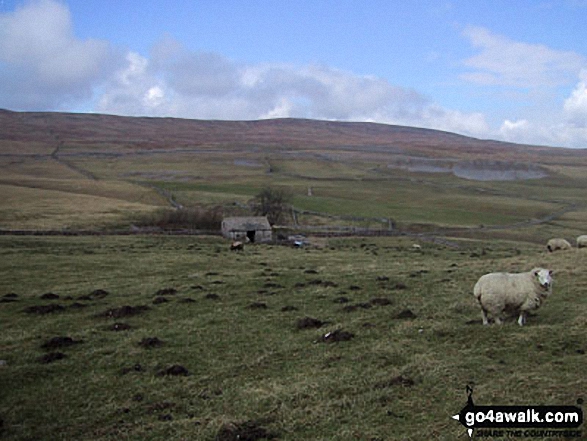 Stangill Barn from The Pennine Way north of Water Houses, Malham Tarn