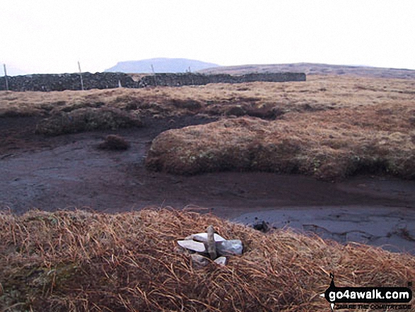 Fountains Fell (South Top) Photo by Gerry Hurst