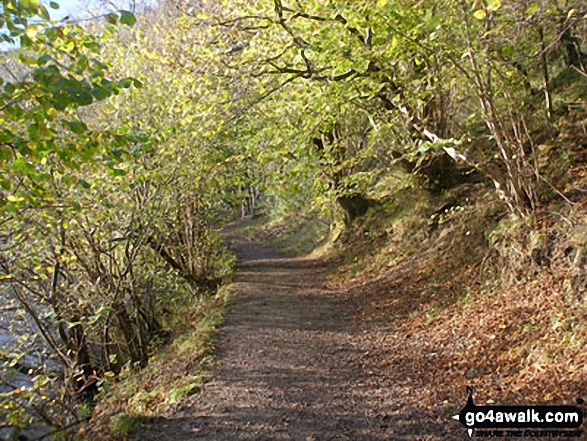 Walk d206 Monsal Dale and Ashford in the Water from Bakewell - The Monsal Trail in Monsal Dale