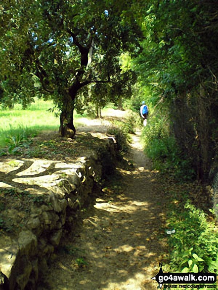 Footpath near Rocca di Manerba