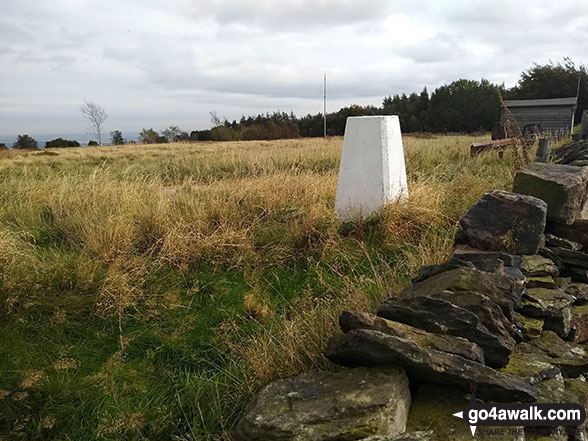 Walk sy101 Onesmoor (Kirk Edge) from Low Bradfield - The Trig Point on the top of Onesmoor (Kirk Edge)