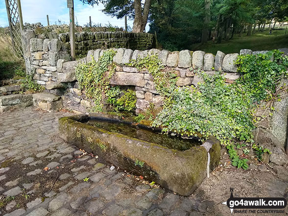 Walk sy101 Onesmoor (Kirk Edge) from Low Bradfield - Stone Water Trough in High Bradfield