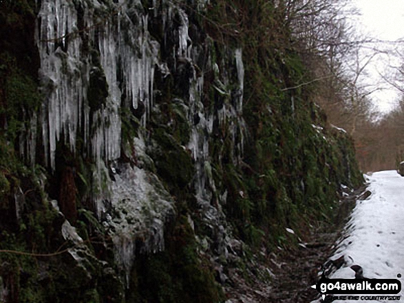 Icicles on the C2C between Threlkeld and Keswick