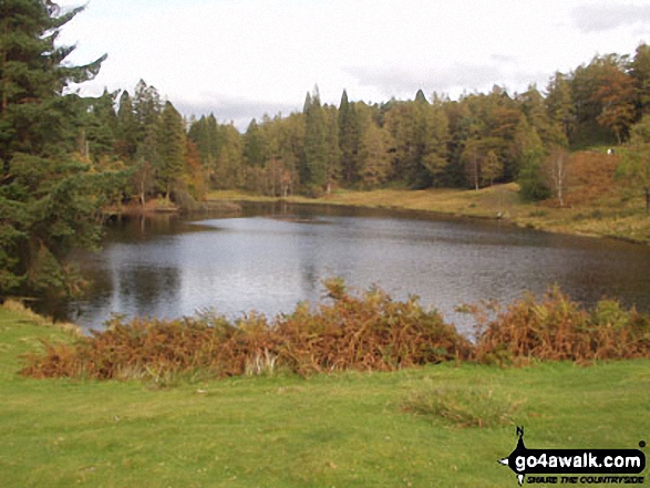 Walk c229 Tarn Hows, Oxen Fell High Cross and Low Tilberthwaite from Tarn Hows - Tarn Hows