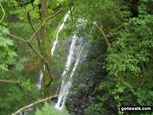 Walk ny186 Aysgarth Falls from Aysgarth - Middle Force, Aysgarth Falls