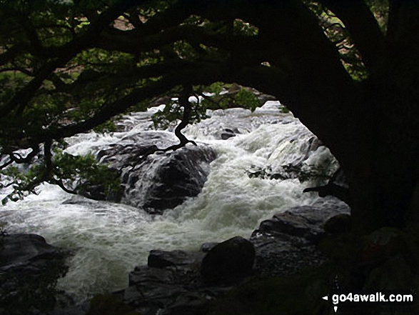 Walk c115 Langstrath Beck from Rosthwaite - Stonethwaite beck in the Langstrath Valley