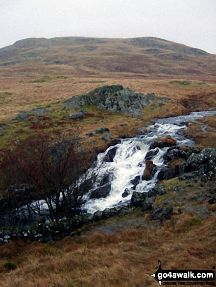 Walk c462 The Devoke Water Fells from Birker Fell - Birkby Fell from Linbeck Gill