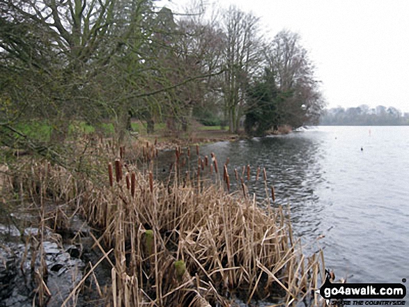 The Mere, Ellesmere