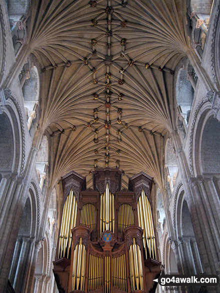 Walk nf101 Pulls Ferry and The River Wensum from Norwich - The magnificent roof of Norwich Cathedral