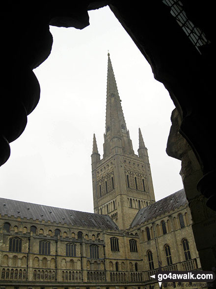 Walk nf101 Pulls Ferry and The River Wensum from Norwich - Norwich Cathedral spire from the Cloisters