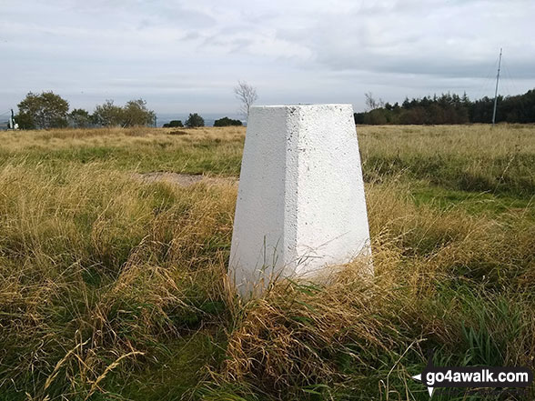 Walk sy101 Onesmoor (Kirk Edge) from Low Bradfield - Onesmoor (Kirk Edge) summit trig point