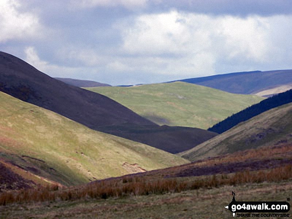 Coquet valley