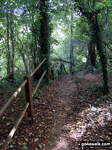 Top of the steps down to Consall Forge