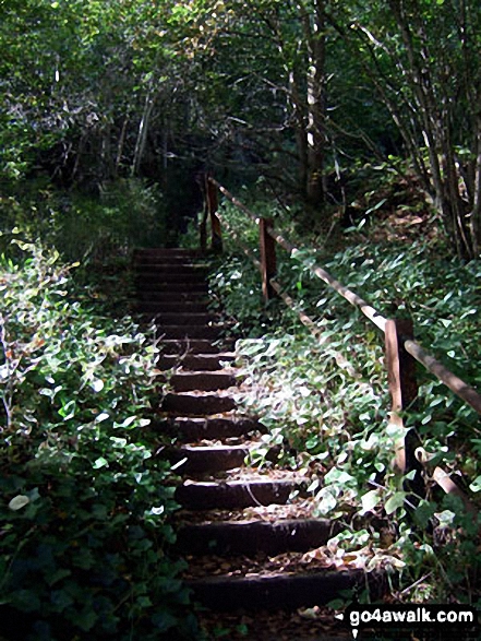 Bottom of the steps down to Consall Forge from Consall