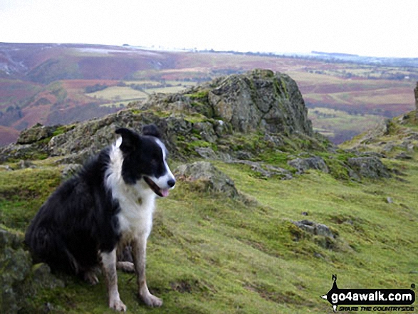 Looking South from Three Fingers Rock at the south east end of Caer Caradoc Hill