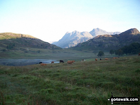 Walk c303 Swirl How and Wetherlam from Little Langdale - Little Langdale Tarn with sunlight on The Langdale Pikes beyond from near Slater Bridge Bridge, Little Langdale