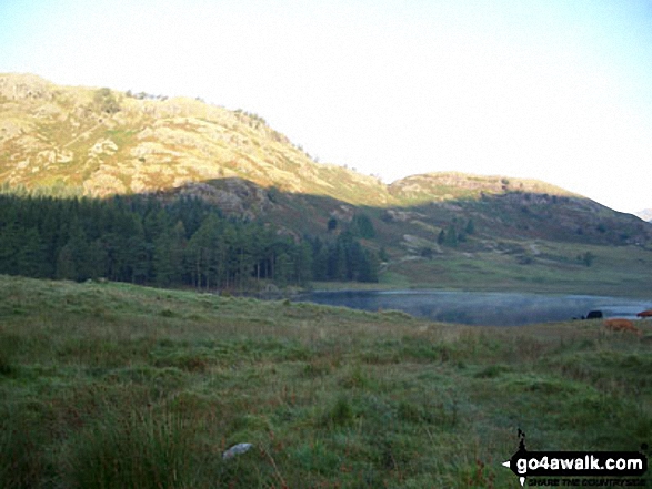 Walk c303 Swirl How and Wetherlam from Little Langdale - Knott Head above Little Langdale Tarn from near Slater Bridge Bridge, Little Langdale