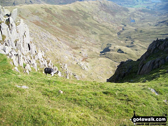 Walk c303 Swirl How and Wetherlam from Little Langdale - Wet Side Edge and Greenburn from Swirl How