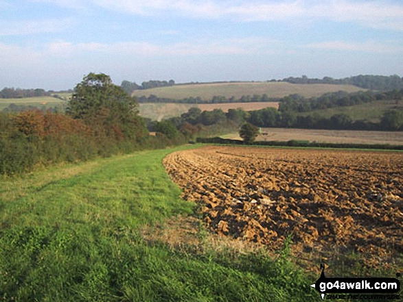 Fields near Bodsham