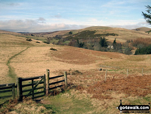 Walk n126 Wooler Common and  Carey Burn from Careyburn Bridge - The St Cuthbert's Way heading towards Wooler Common with Coldberry Hill (centre right) and Humbleton Hill (far right)