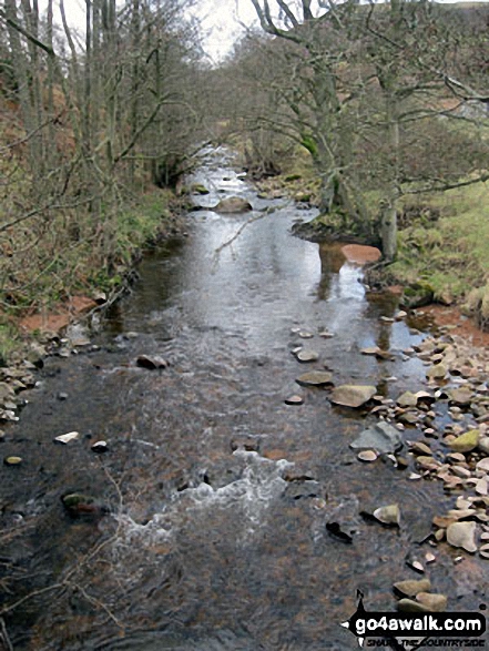 Harthope Burn near Careyburn Bridge