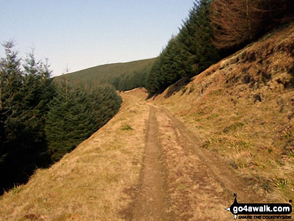 Climbing Bught Knowe on the way to Glenrief Rig