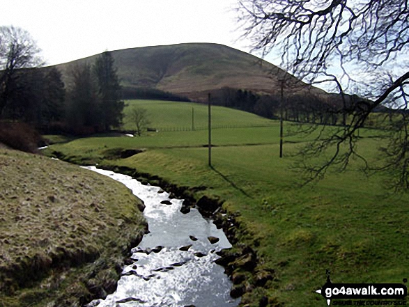 Dod Hill (Teviothead) and Linhope Burn from Linhope Farm<br>on the A7 between Carlisle and Hawick