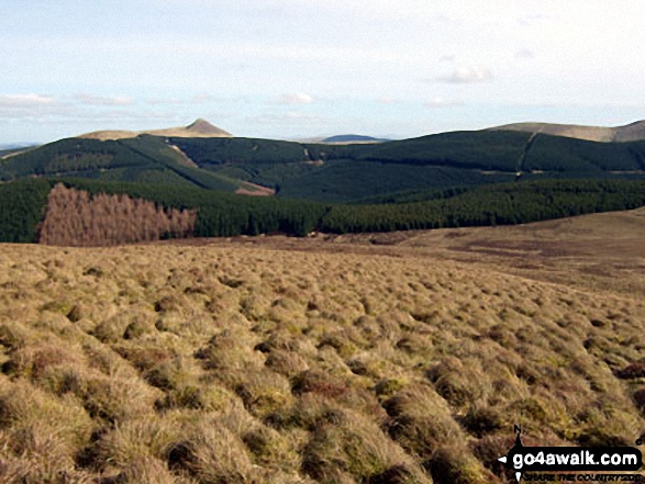 Walk bo107 Lightning Hill, Wether Law (Teviothead) and Tudhope Hill from Linhope Farm - Skelfhill Pen from Lightning Hill