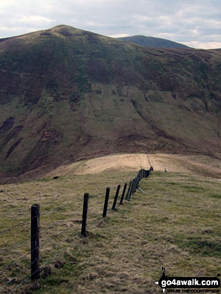 Carlin Tooth (Teviothead), Ellson Fell (behind) and Sunhope Hass (below)<br> from Little Tudhope Hill