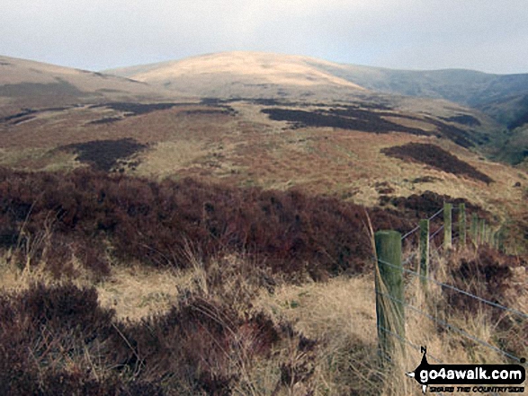 Watch Hill from Byrecleuch Burn