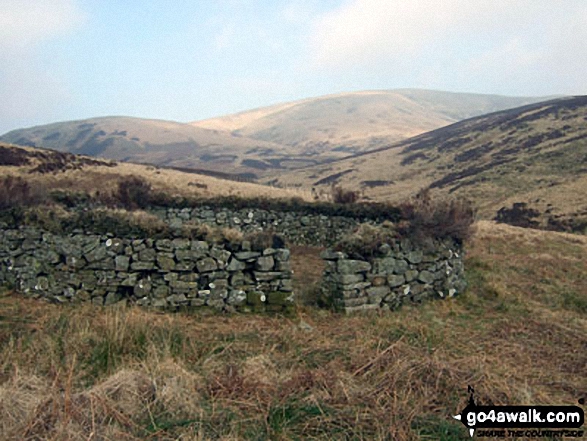 Watch Knowe and Scawd Bank from the circular sheepfold beside Byrecleuch Burn at Hawknest Rig